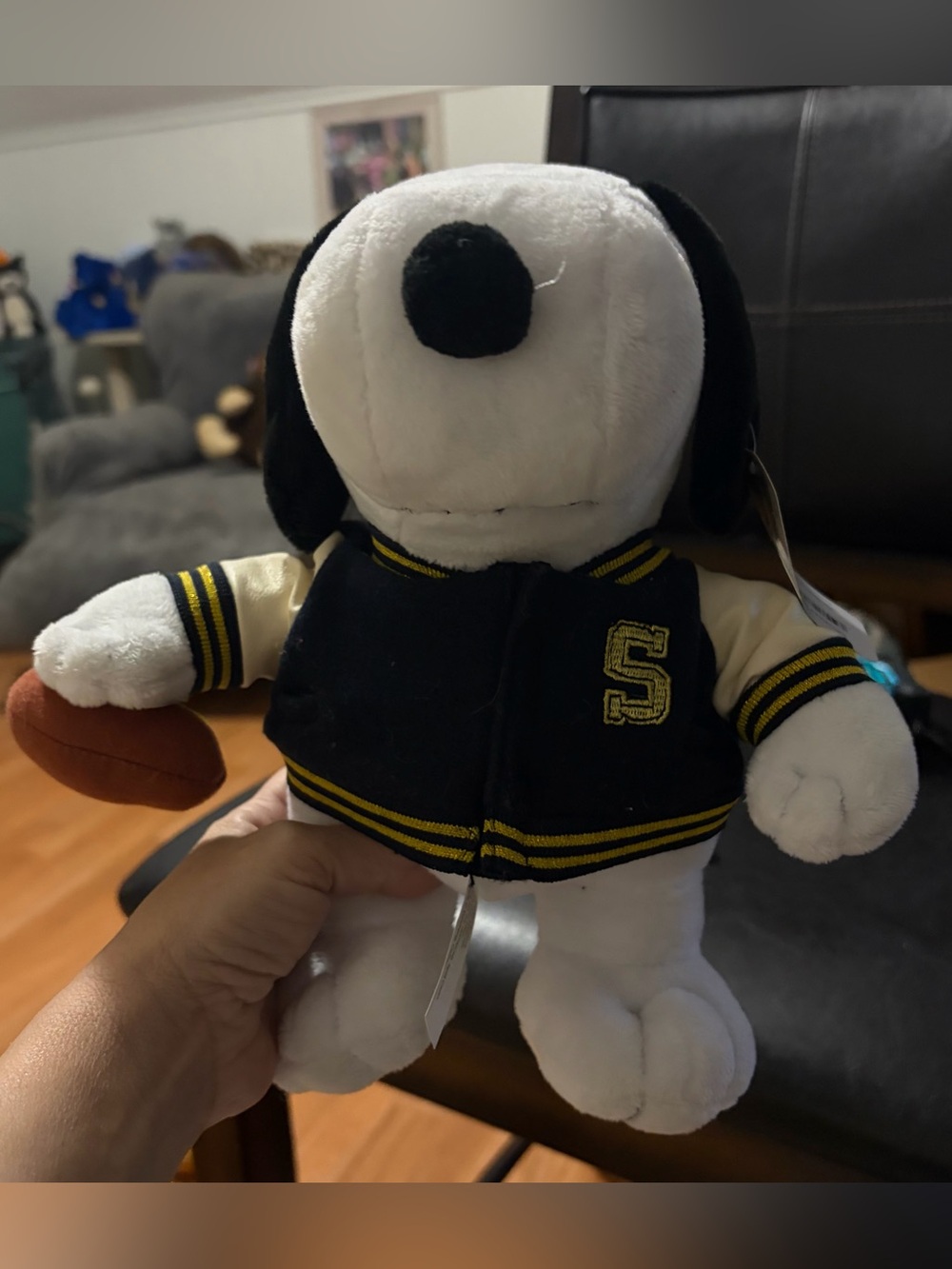 Peanuts Snoopy and Grupo Ruz Snoopy dog wearing a varsity Jacket